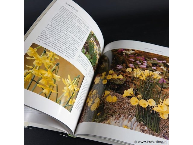 New flowers - afbeelding 5 van  5