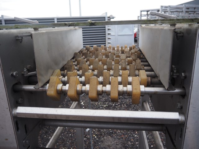 New motion - afbeelding 5 van  6