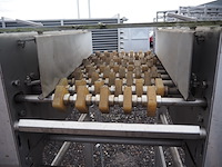 New motion - afbeelding 5 van  6