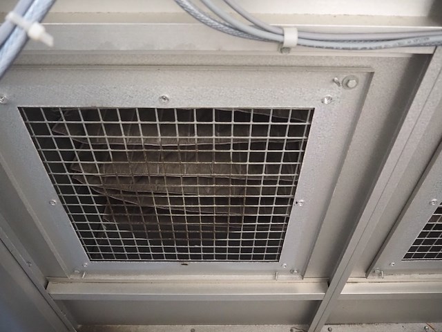 Newsome - afbeelding 9 van  12