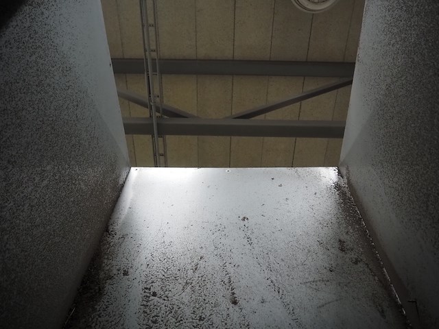 Newsome - afbeelding 7 van  9