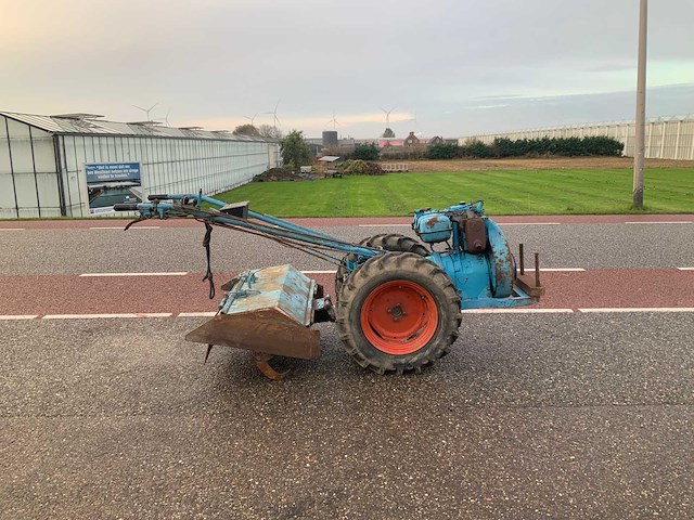 Nibbi bruno grondfrees - afbeelding 1 van  13