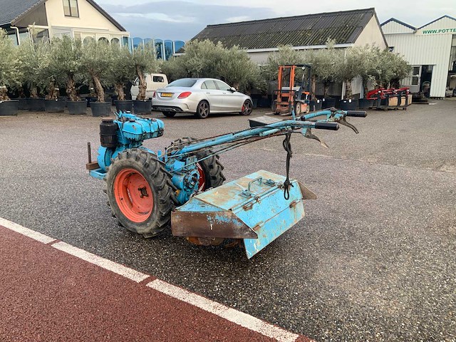 Nibbi bruno grondfrees - afbeelding 8 van  13