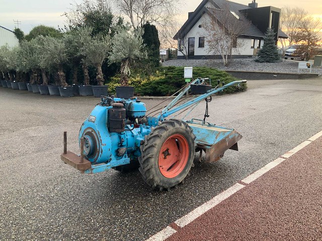 Nibbi bruno grondfrees - afbeelding 10 van  13