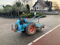 Nibbi bruno grondfrees - afbeelding 10 van  13