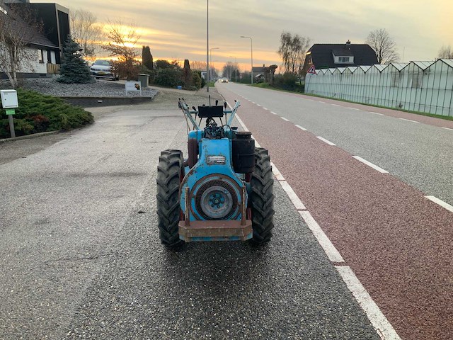 Nibbi bruno grondfrees - afbeelding 11 van  13