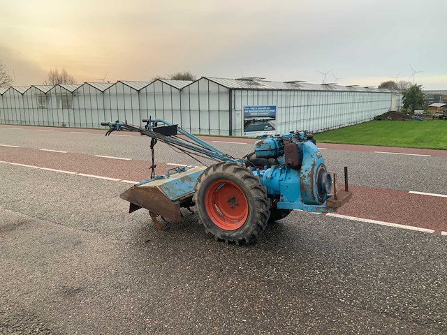 Nibbi bruno grondfrees - afbeelding 12 van  13