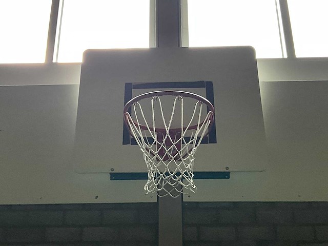 Nijha - basketbalinstallatie (2x) - afbeelding 3 van  4