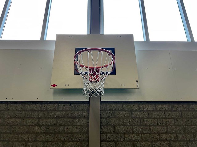 Nijha - basketbalinstallatie (2x) - afbeelding 3 van  4