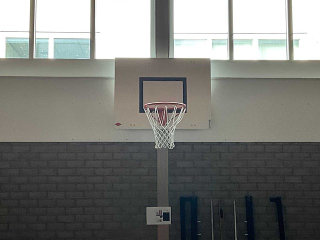 Nijha - basketbalinstallatie (2x) - afbeelding 2 van  2