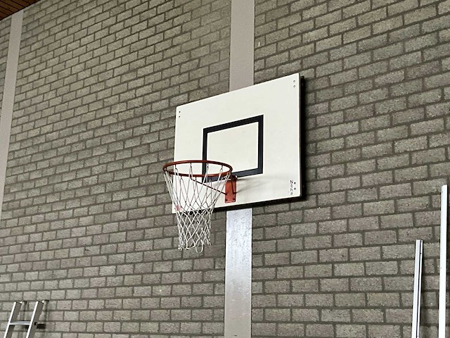 Nijha - basketbalinstallatie (2x) - afbeelding 2 van  2