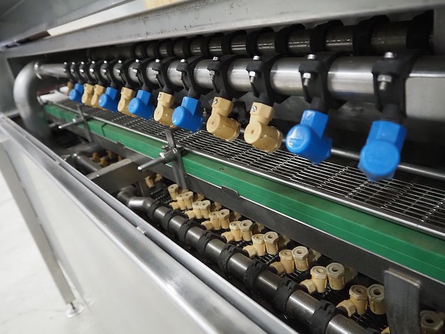 Niko - afbeelding 8 van  11