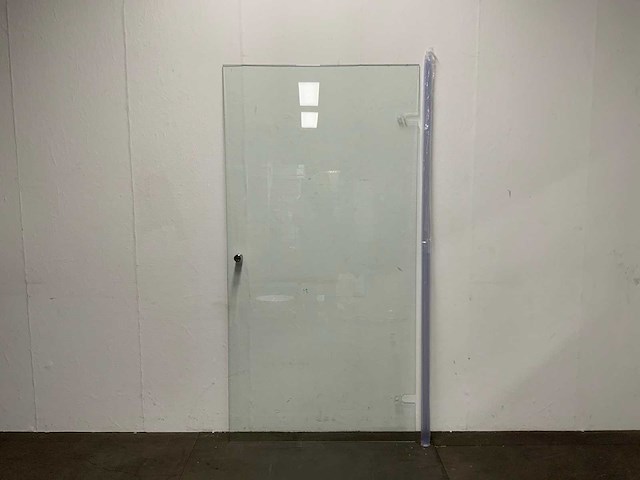 Nisdeur met glasbehandeling 100 x 195 cm - afbeelding 1 van  5