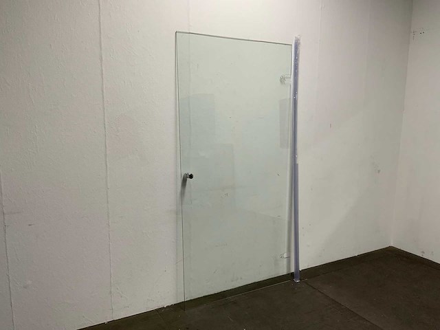 Nisdeur met glasbehandeling 100 x 195 cm - afbeelding 2 van  5