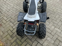 Nitro quad - afbeelding 6 van  26