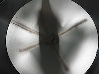 Nn air cone - afbeelding 6 van  6