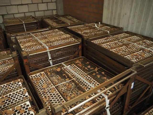 Nn autoclave trolleys - afbeelding 6 van  6