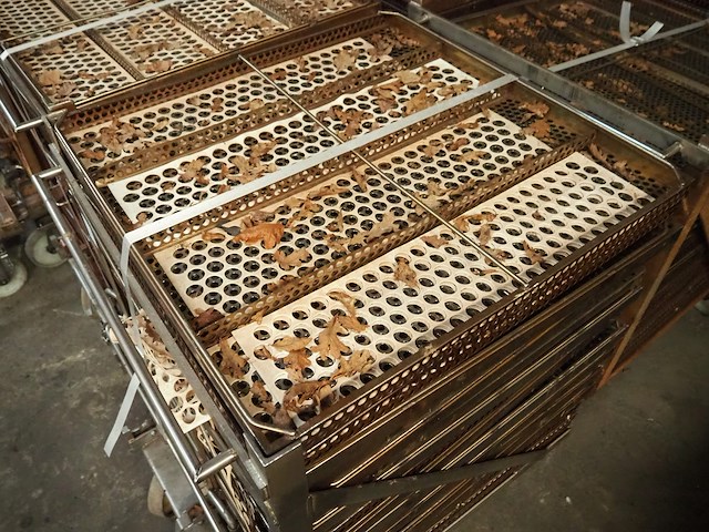 Nn autoclave trolleys - afbeelding 4 van  6