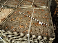 Nn autoclave trolleys - afbeelding 4 van  4