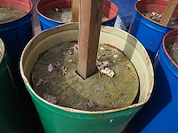 Nn barrels - afbeelding 5 van  6