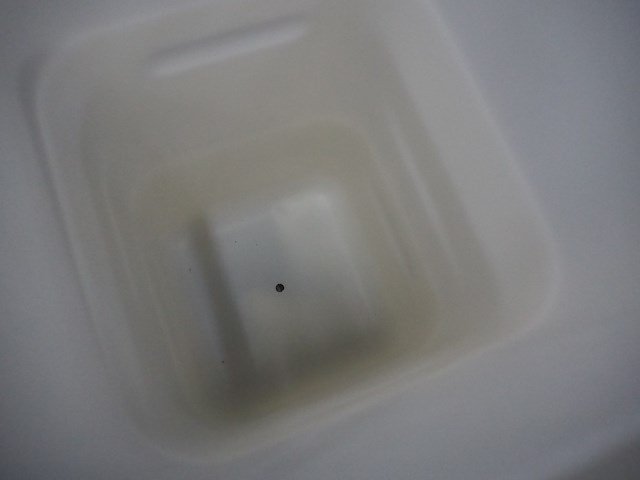 Nn bins - afbeelding 4 van  4