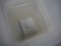 Nn bins - afbeelding 4 van  4