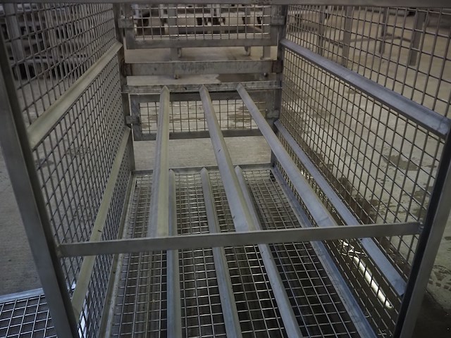 Nn cage - afbeelding 7 van  8