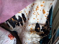 Nn carpets - afbeelding 3 van  6