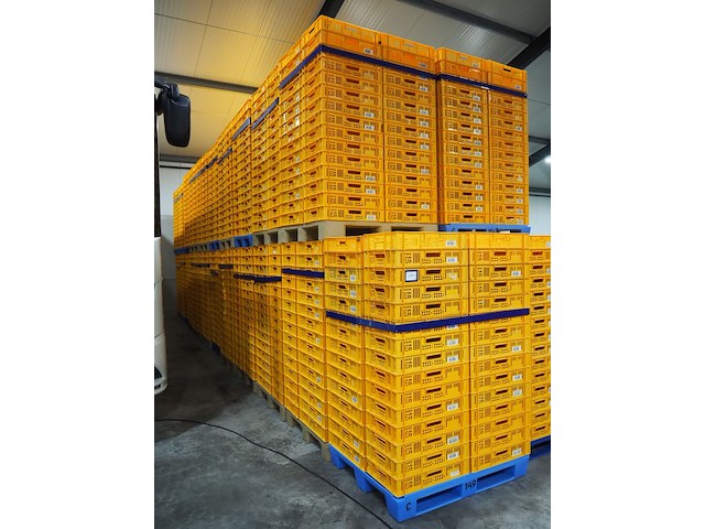 Nn crates - afbeelding 1 van  4