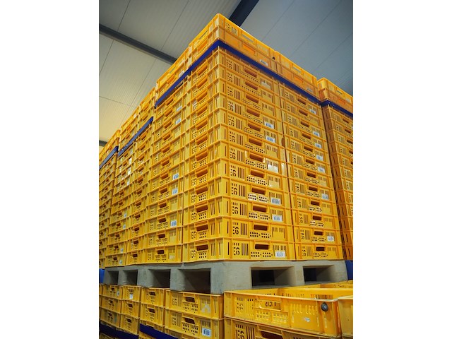 Nn crates - afbeelding 3 van  4