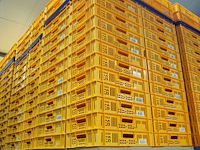 Nn crates - afbeelding 3 van  4