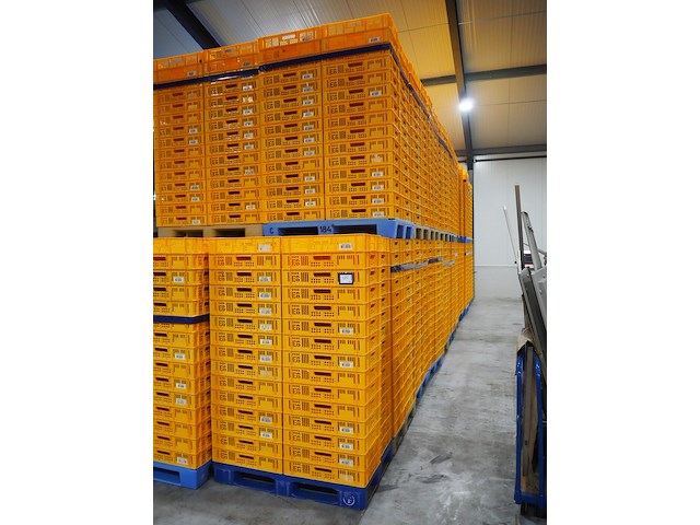 Nn crates - afbeelding 1 van  4