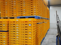 Nn crates - afbeelding 1 van  4