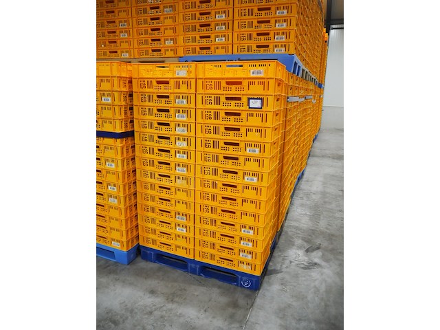 Nn crates - afbeelding 2 van  4