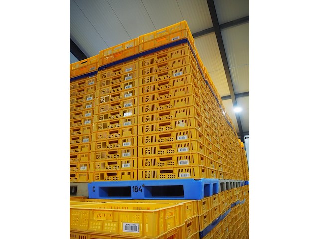 Nn crates - afbeelding 3 van  4