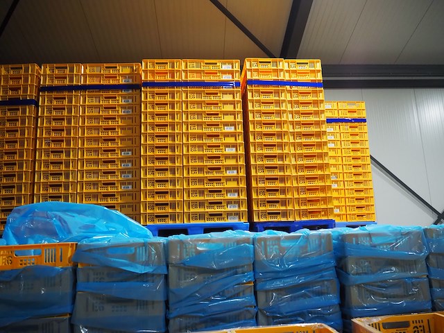 Nn crates - afbeelding 2 van  11