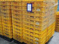 Nn crates - afbeelding 4 van  11