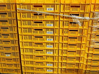 Nn crates - afbeelding 7 van  11