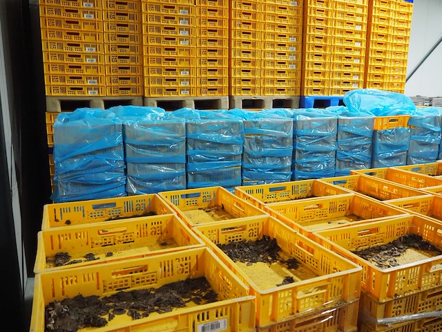 Nn crates - afbeelding 9 van  11