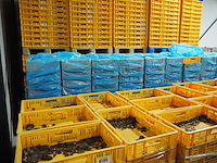 Nn crates - afbeelding 9 van  11