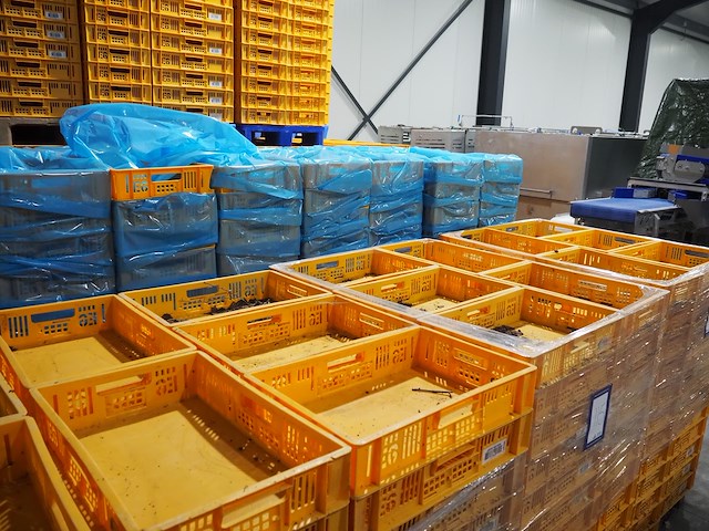 Nn crates - afbeelding 10 van  11