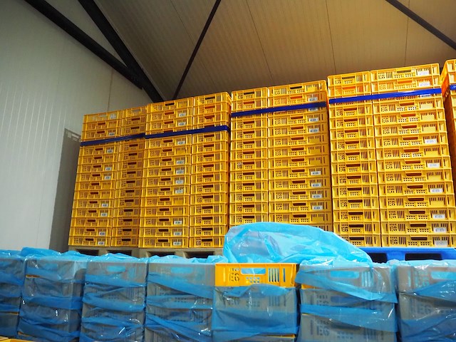 Nn crates - afbeelding 11 van  11