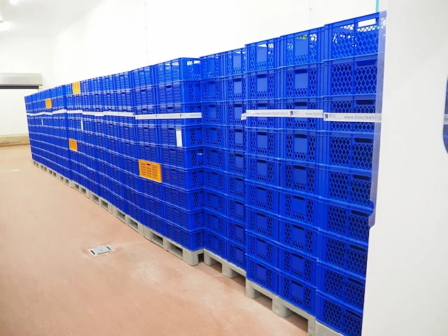Nn crates - afbeelding 2 van  7