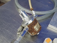 Nn dye - afbeelding 3 van  15