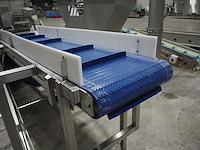 Nn elevating belt - afbeelding 8 van  9