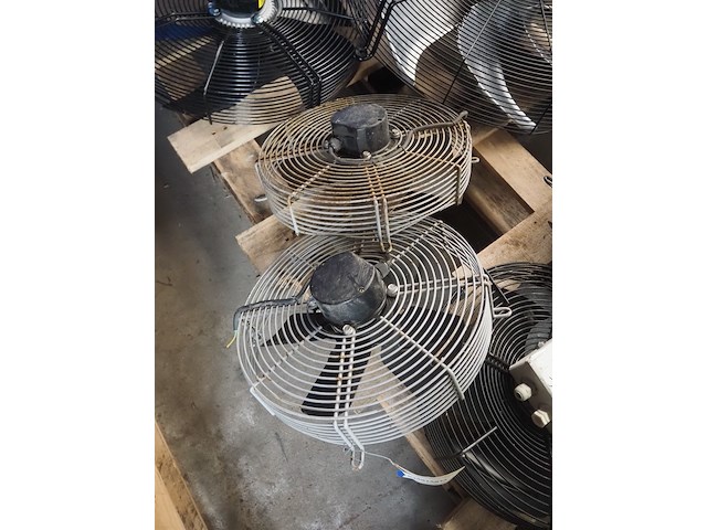 Nn fans - afbeelding 4 van  6