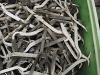 Nn hooks - afbeelding 5 van  9