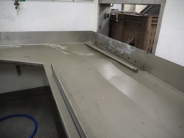 Nn intestine table - afbeelding 12 van  13