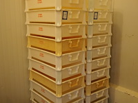 Nn plastic crates - afbeelding 2 van  3