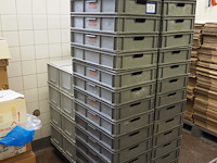 Nn plastic crates - afbeelding 1 van  3